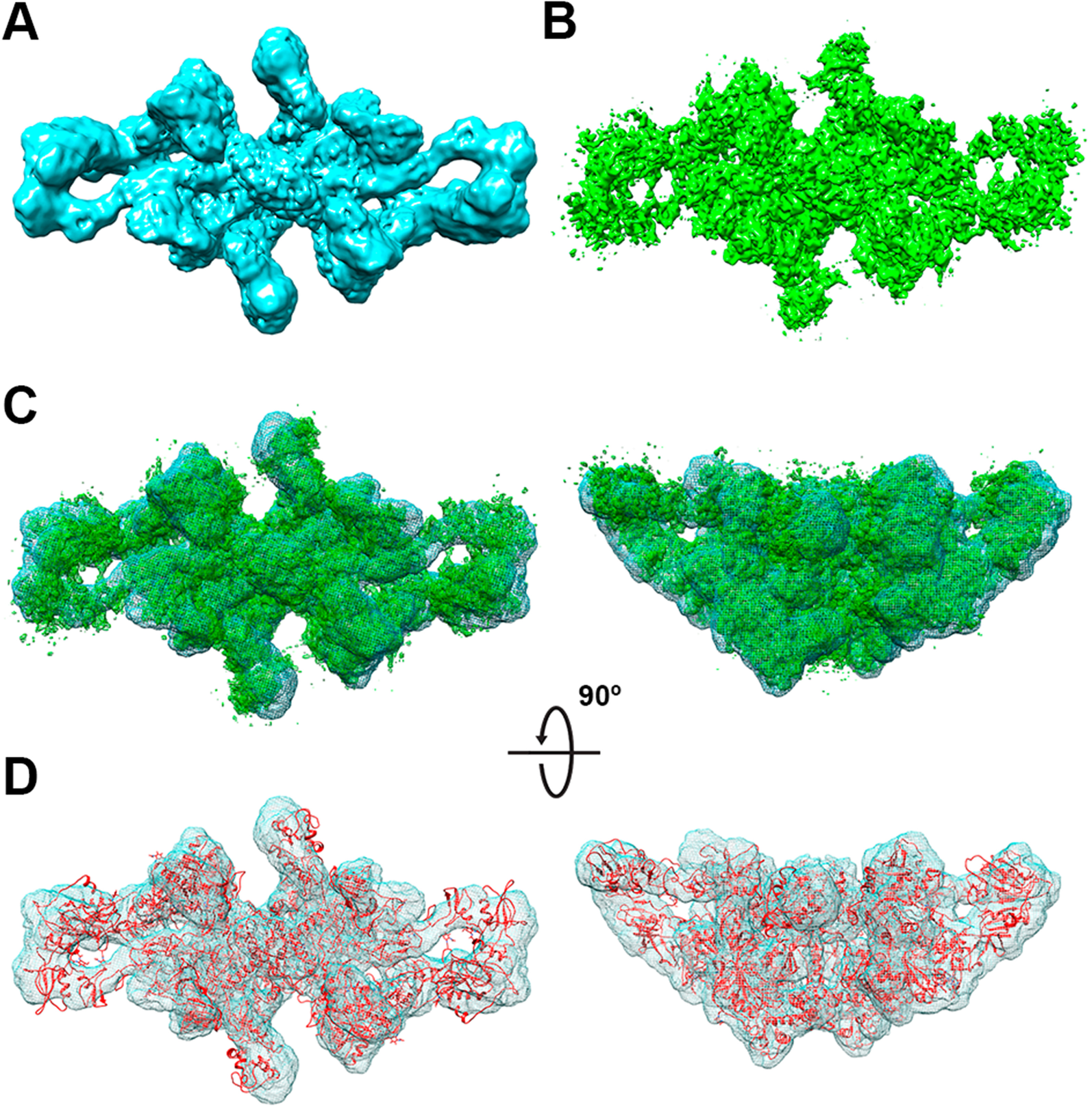 Fig. 2