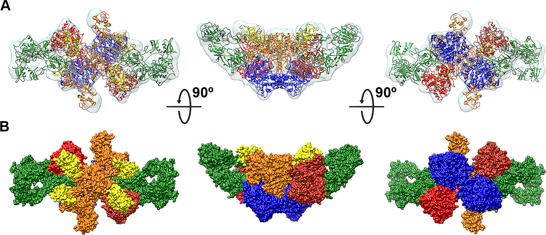 Fig. 3