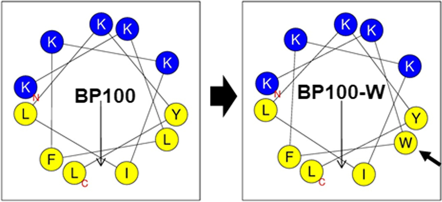 Fig. 1