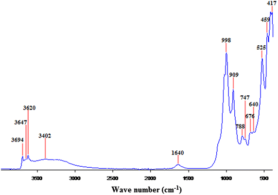 Fig. 1