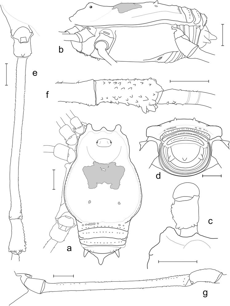 Figure 23