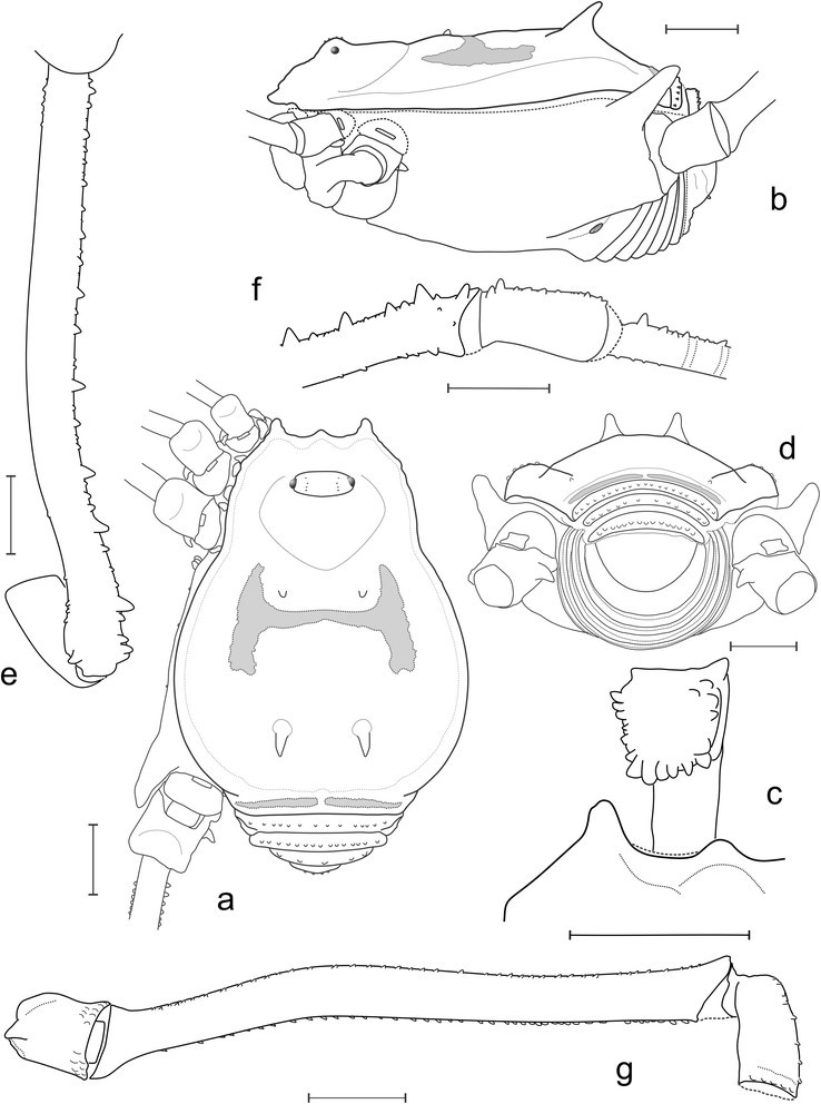 Figure 27