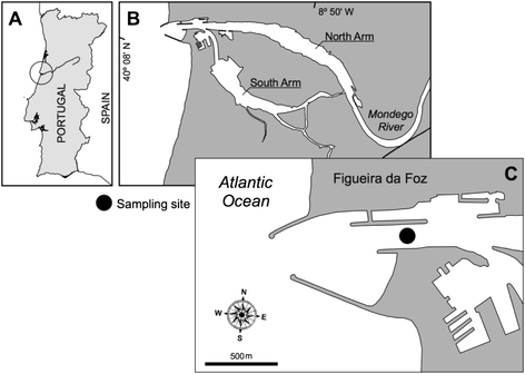 Fig. 1