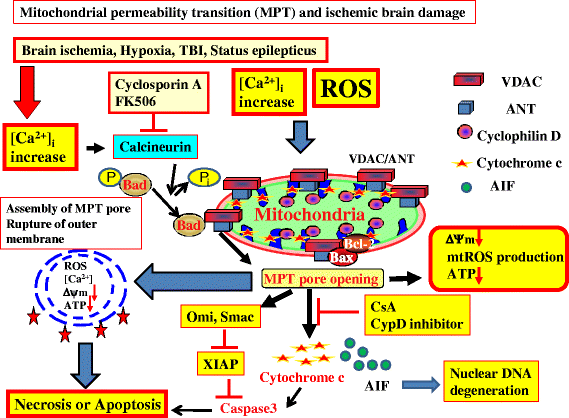 Fig. 4