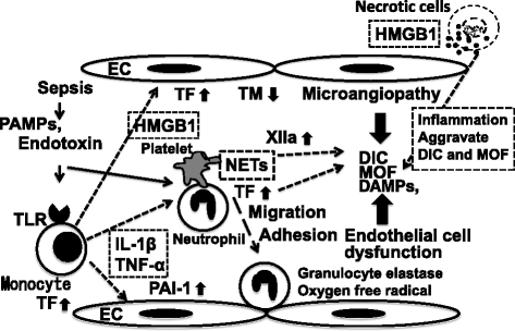 Fig. 2