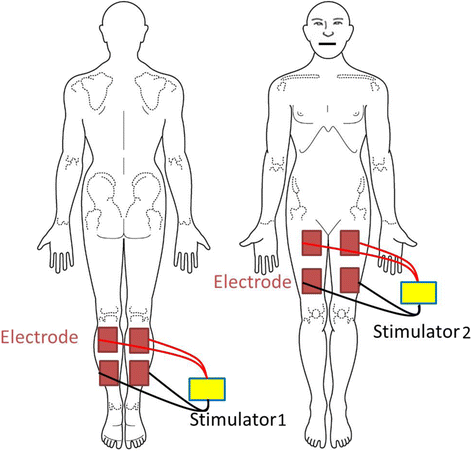 Fig. 1