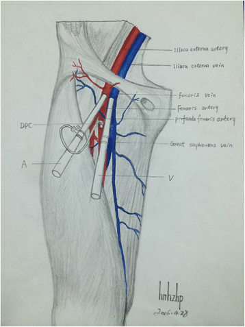 Fig. 5