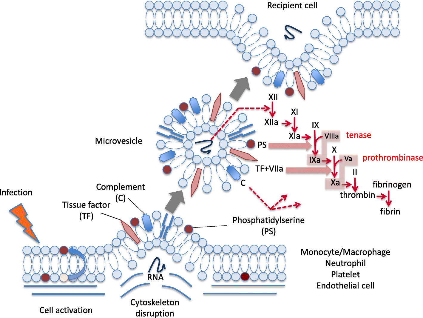 Fig. 4