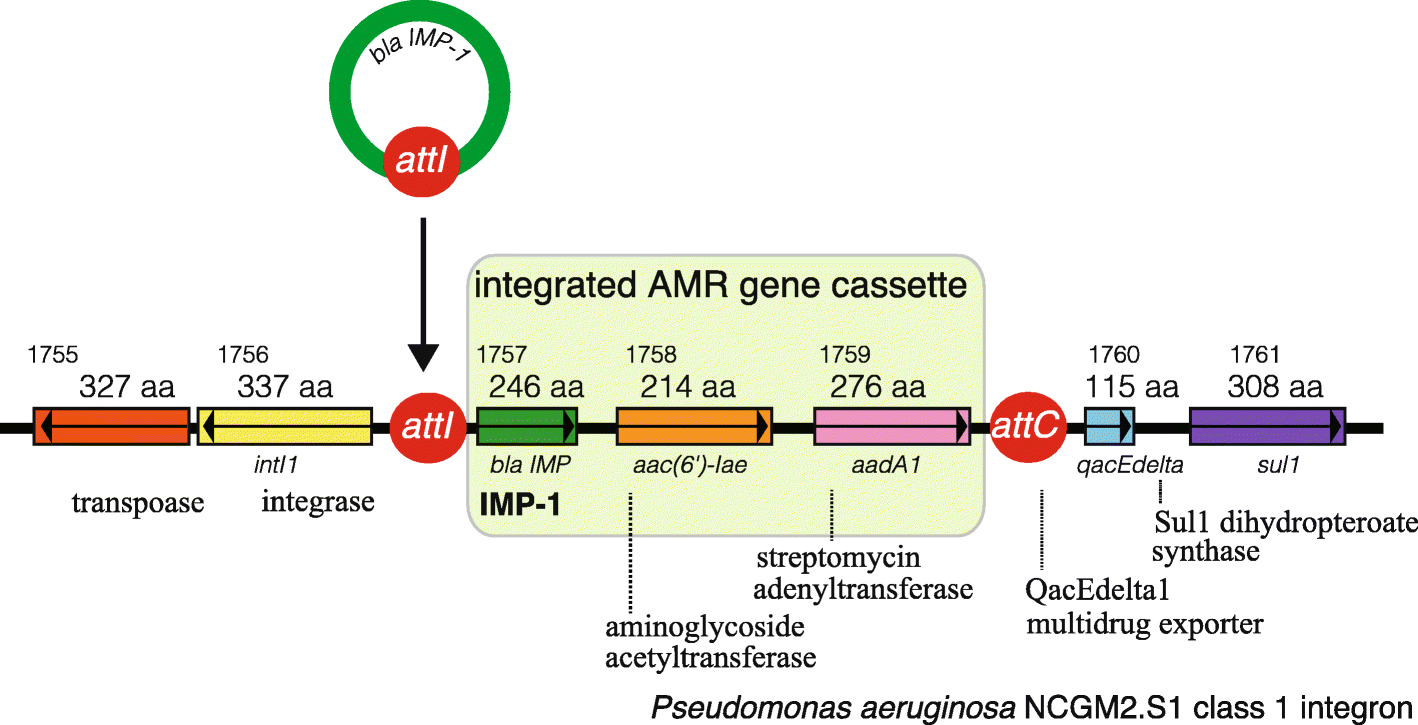 Fig. 8