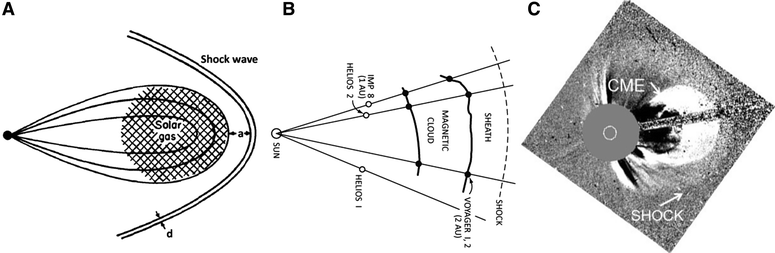 Fig. 10