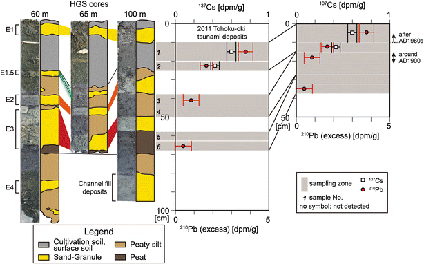 Fig. 3