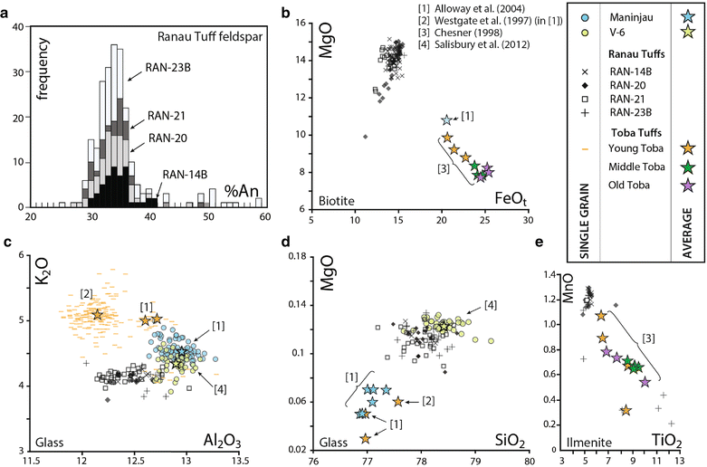 Fig. 10