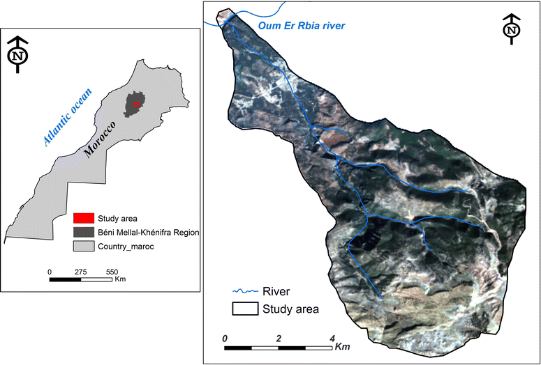 Fig. 1