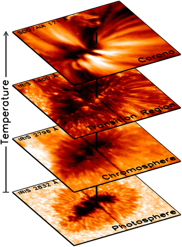 Fig. 1