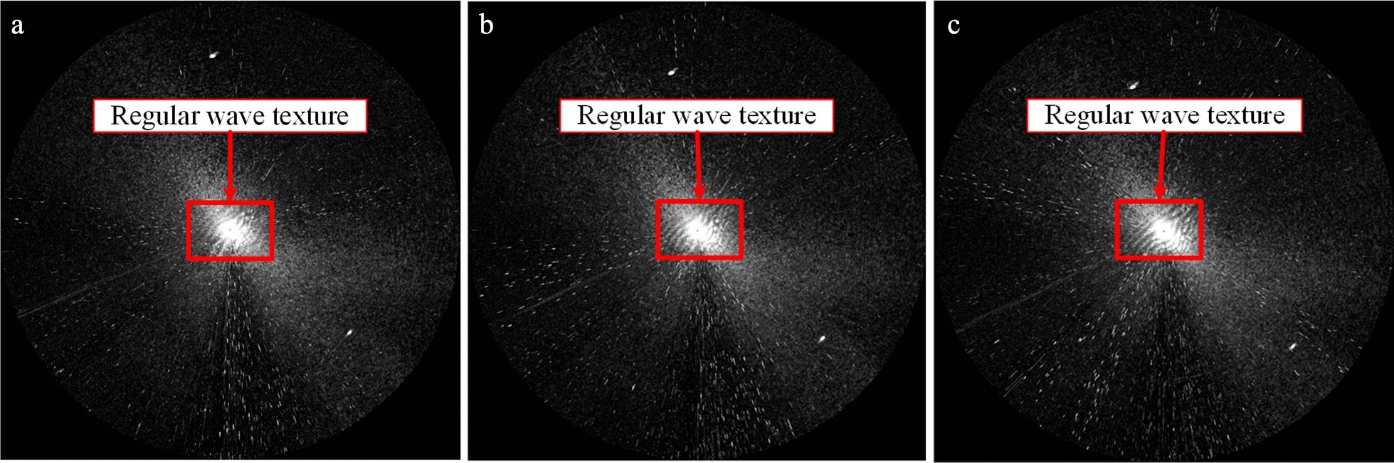 Fig. 10