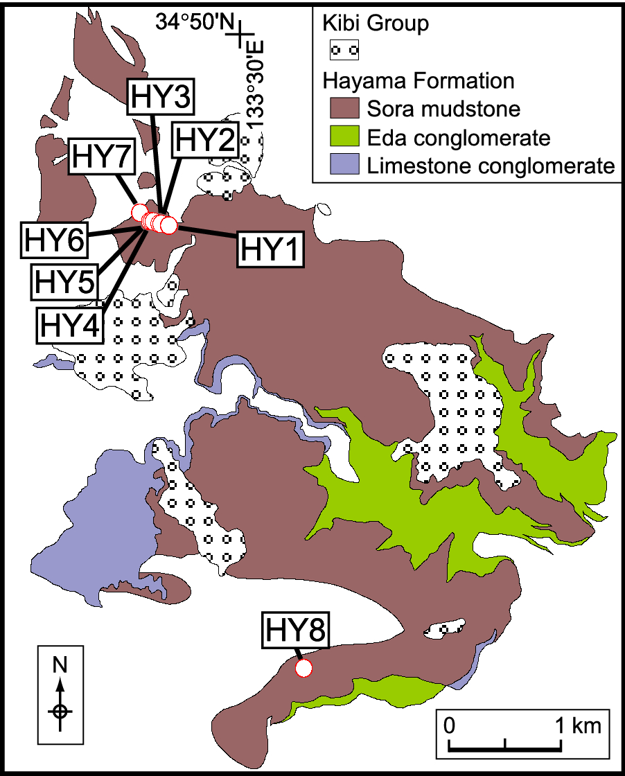 Fig. 2