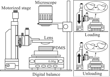 Fig. 2