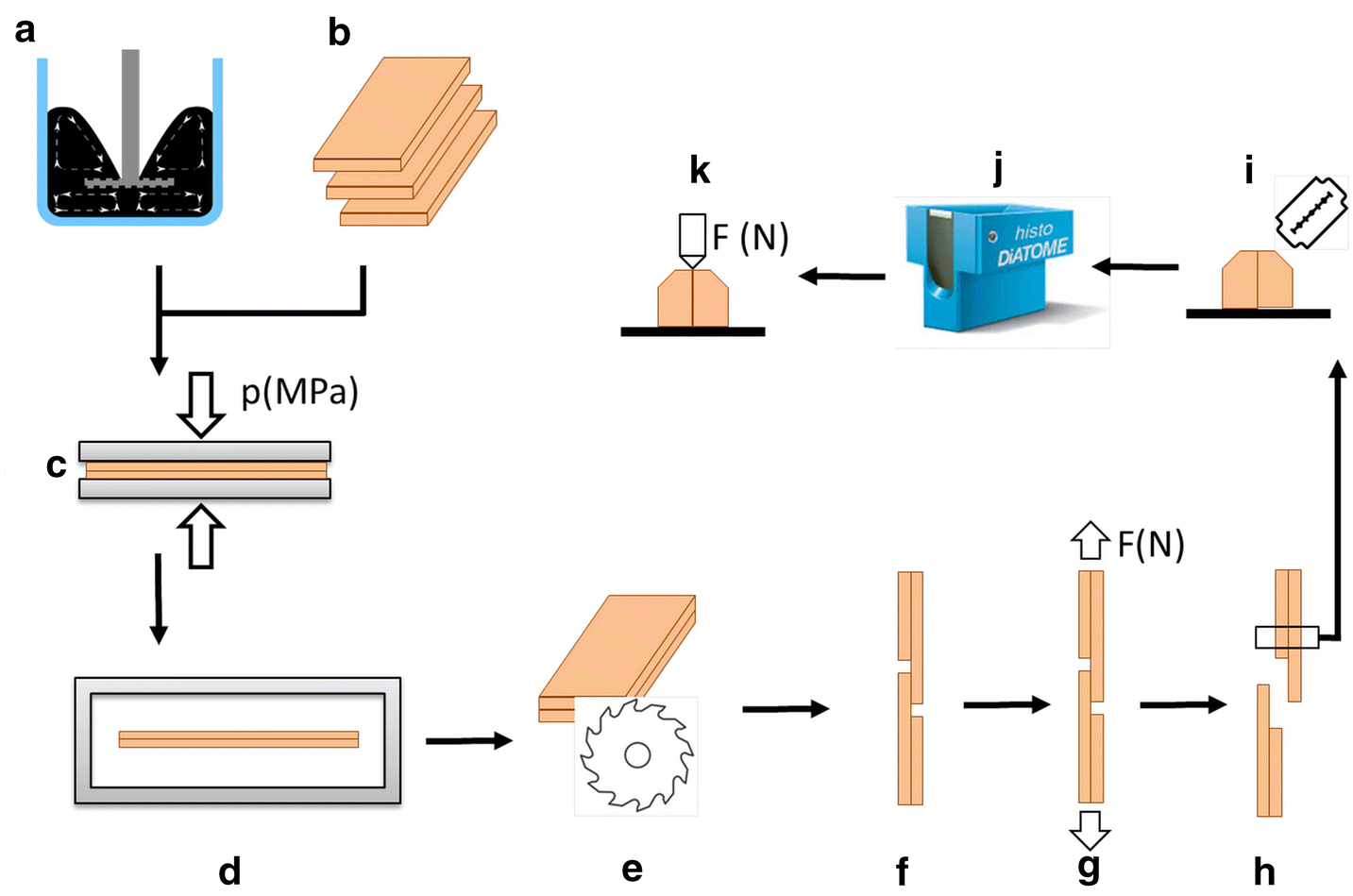 Fig. 1