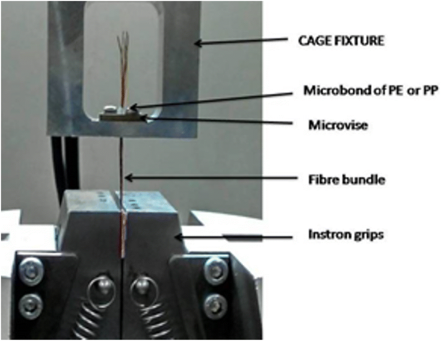 Fig. 3