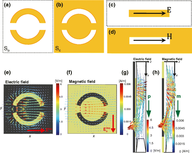 Fig. 1