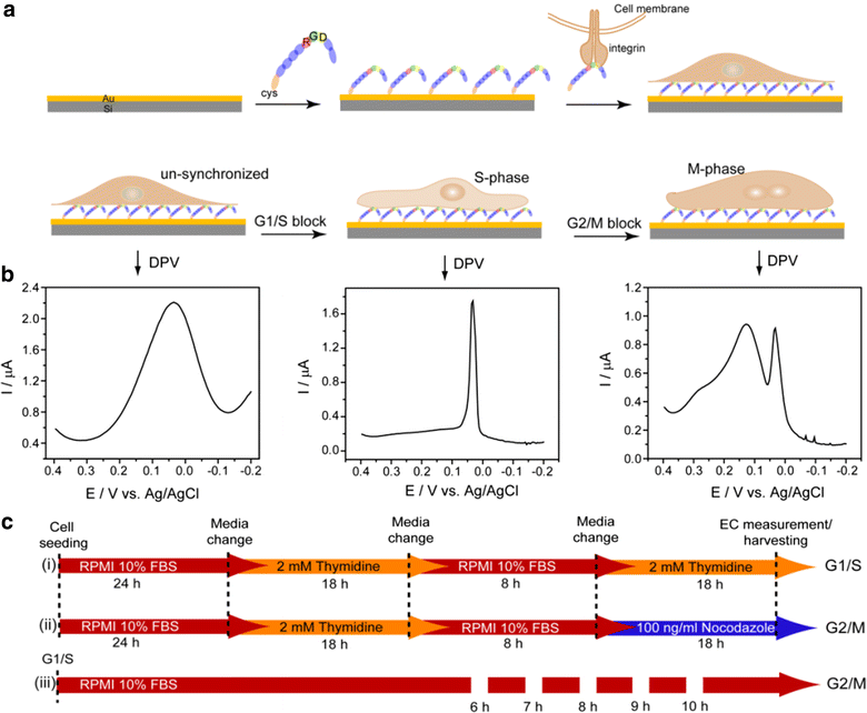 Fig. 12