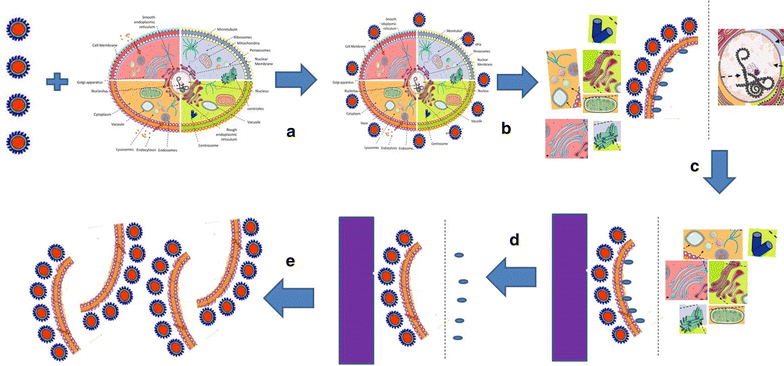 Fig. 8