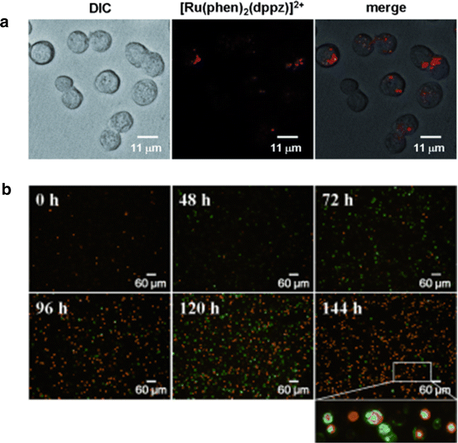 Fig. 2