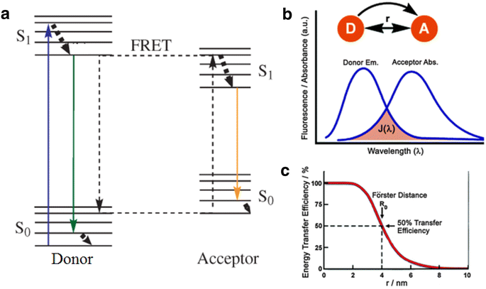 Fig. 8