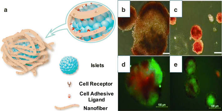 Fig. 7