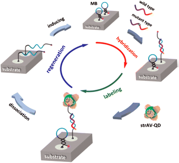 Fig. 4