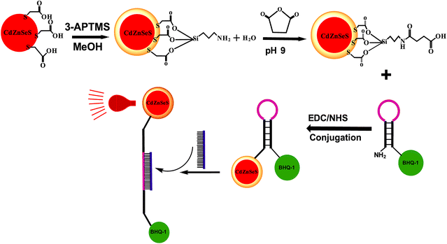 Fig. 6