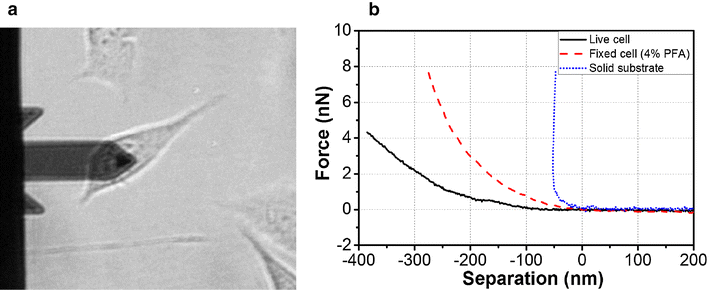 Fig. 4