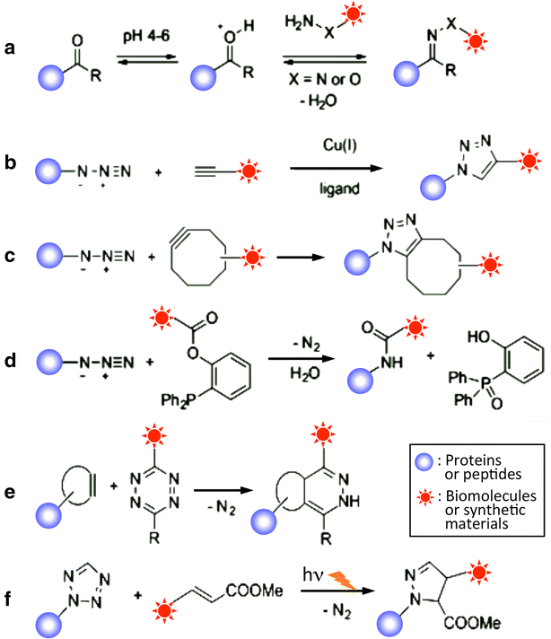 Fig. 20