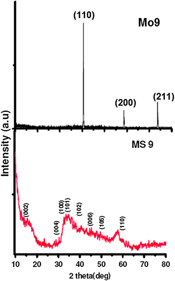 Fig. 1