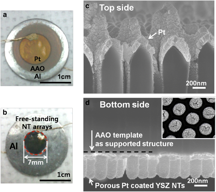 Fig. 6