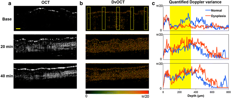 Fig. 7