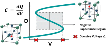 Fig. 2