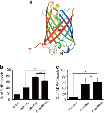 Fig. 7