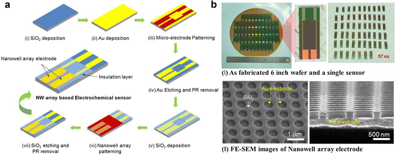 Fig. 12