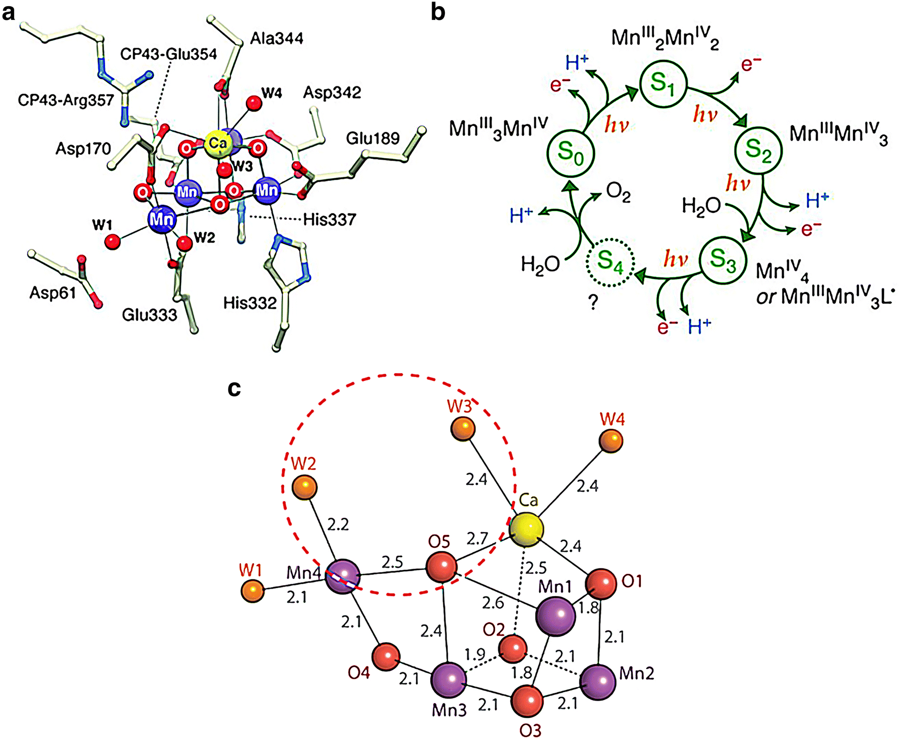 Fig. 1