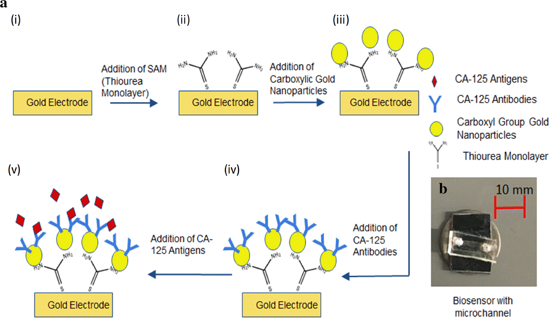 Fig. 3