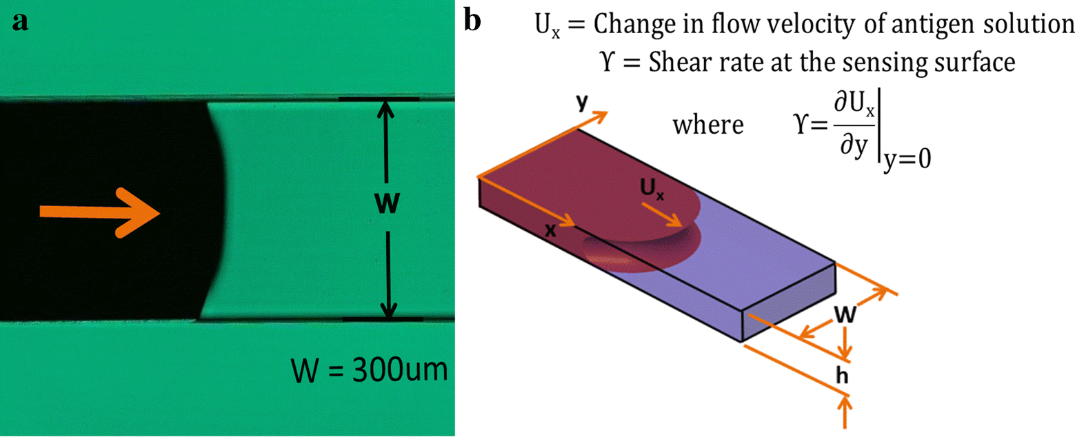 Fig. 8