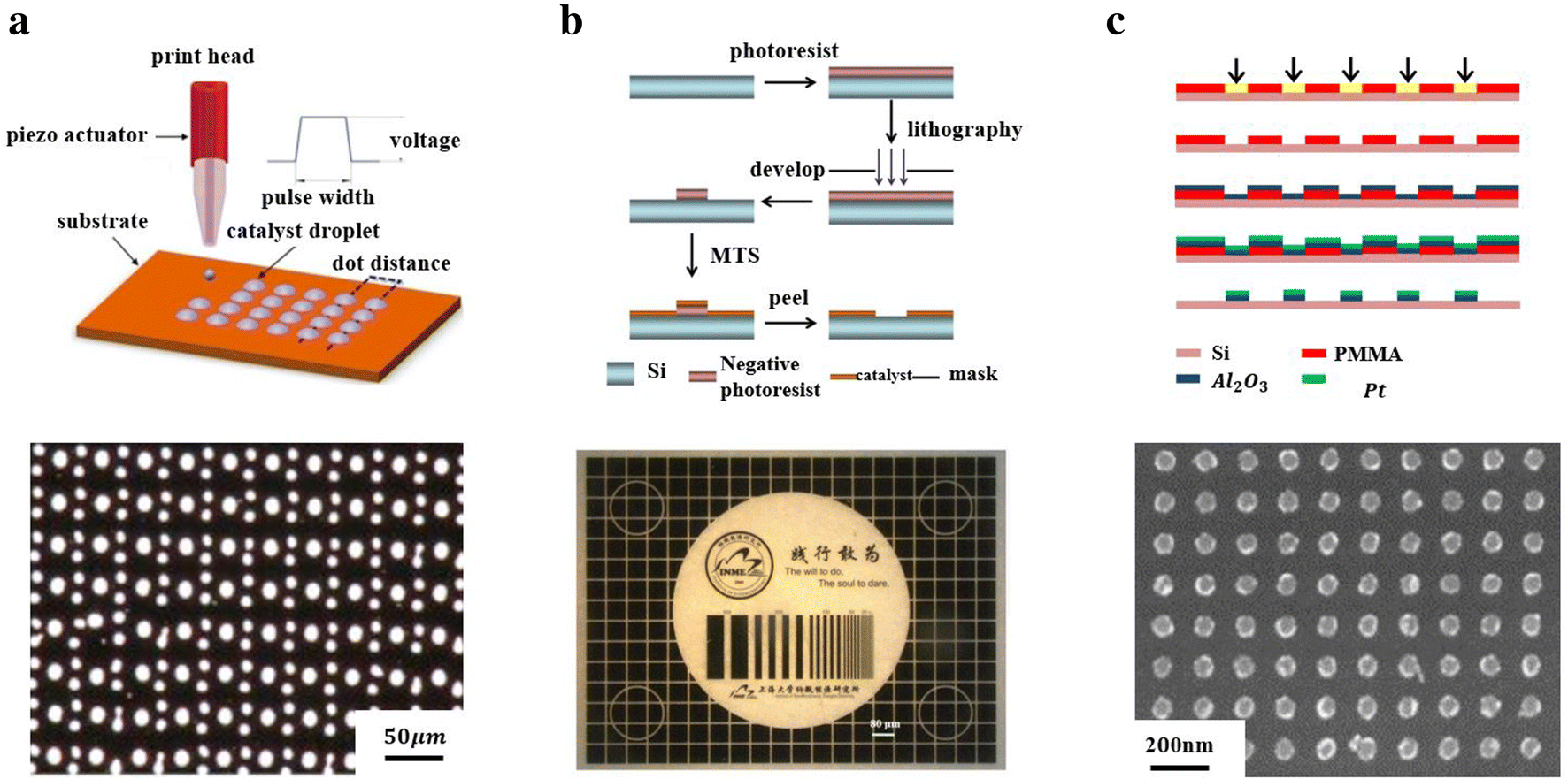 Fig. 1