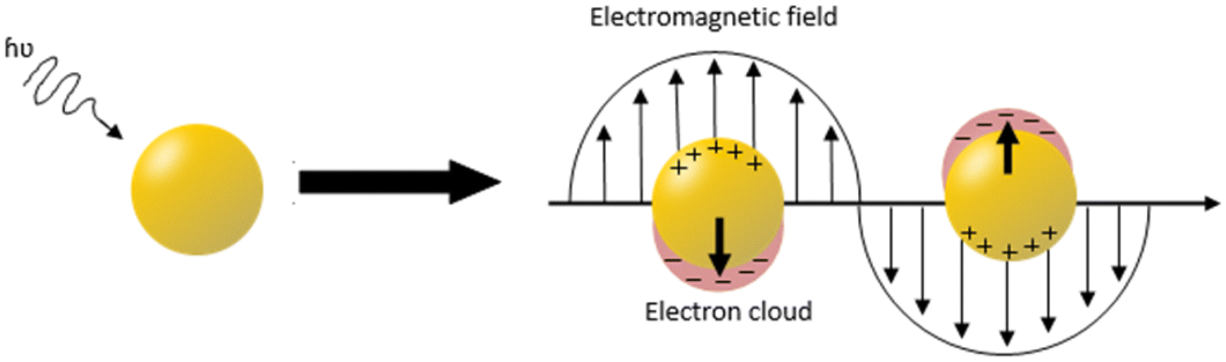 Fig. 2