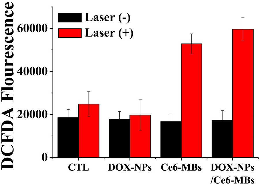 Fig. 4