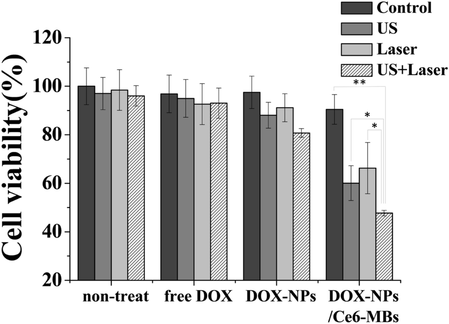 Fig. 7