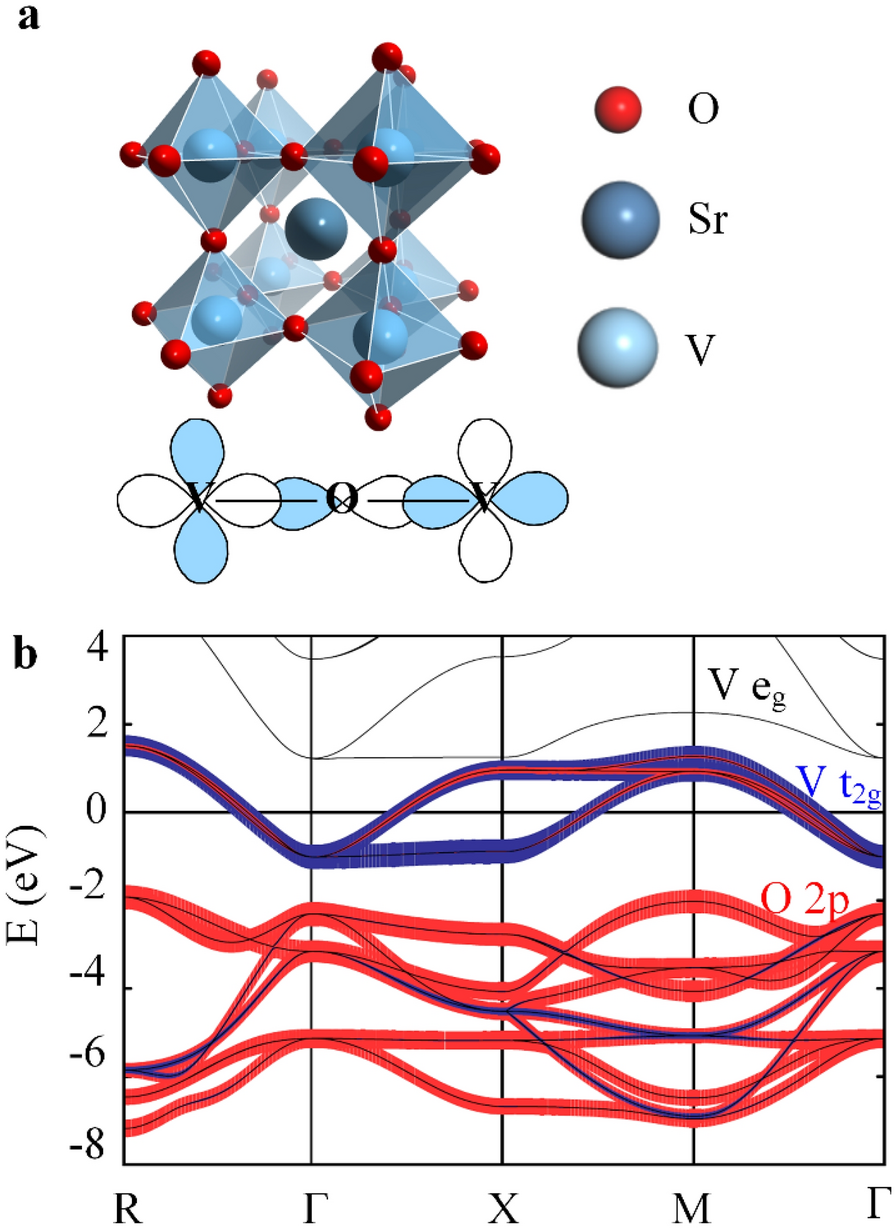 Fig. 1