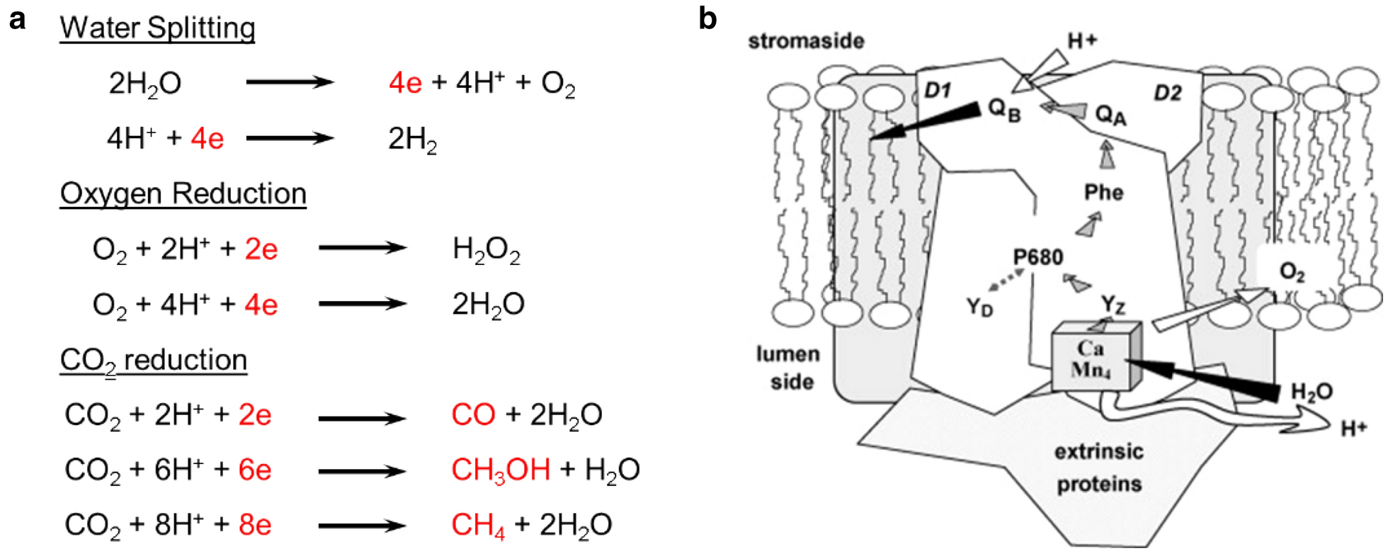 Scheme 3