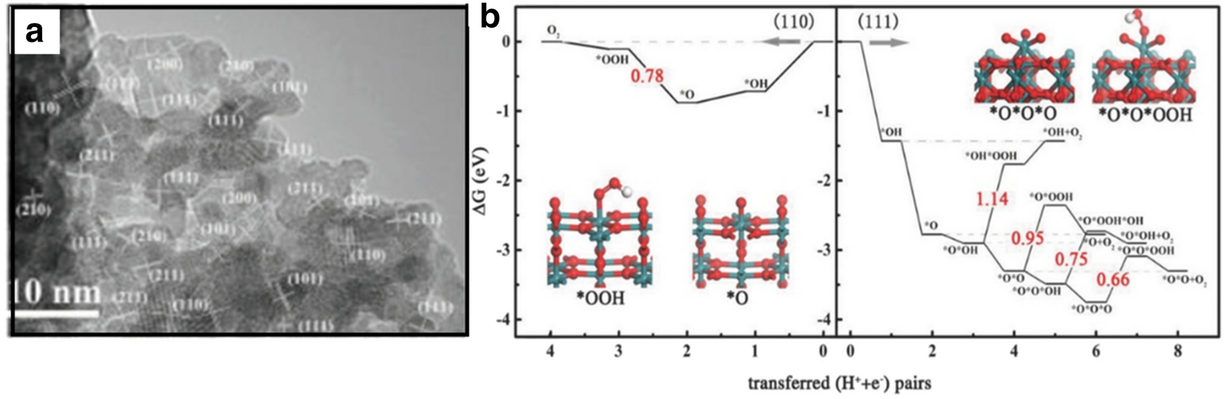 Fig. 10