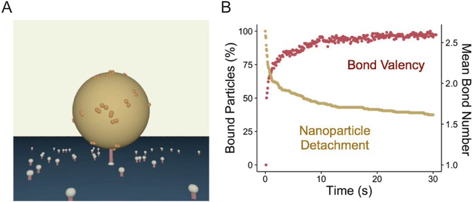 Fig. 17